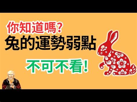 屬龍塔位方向|塔位方向：高效選擇靈骨塔位方位完整教學 